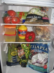food/fridge.JPG