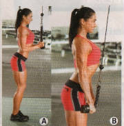 workoutrsox/triceps.jpg