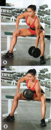 workoutrsox/triceps.jpg