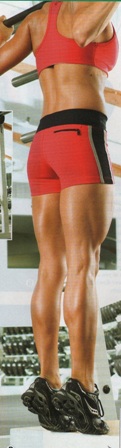workoutrsox/squats.jpg